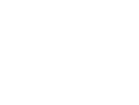 Logo KBS speed